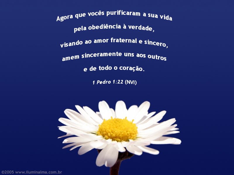 1 Pedro 1:22