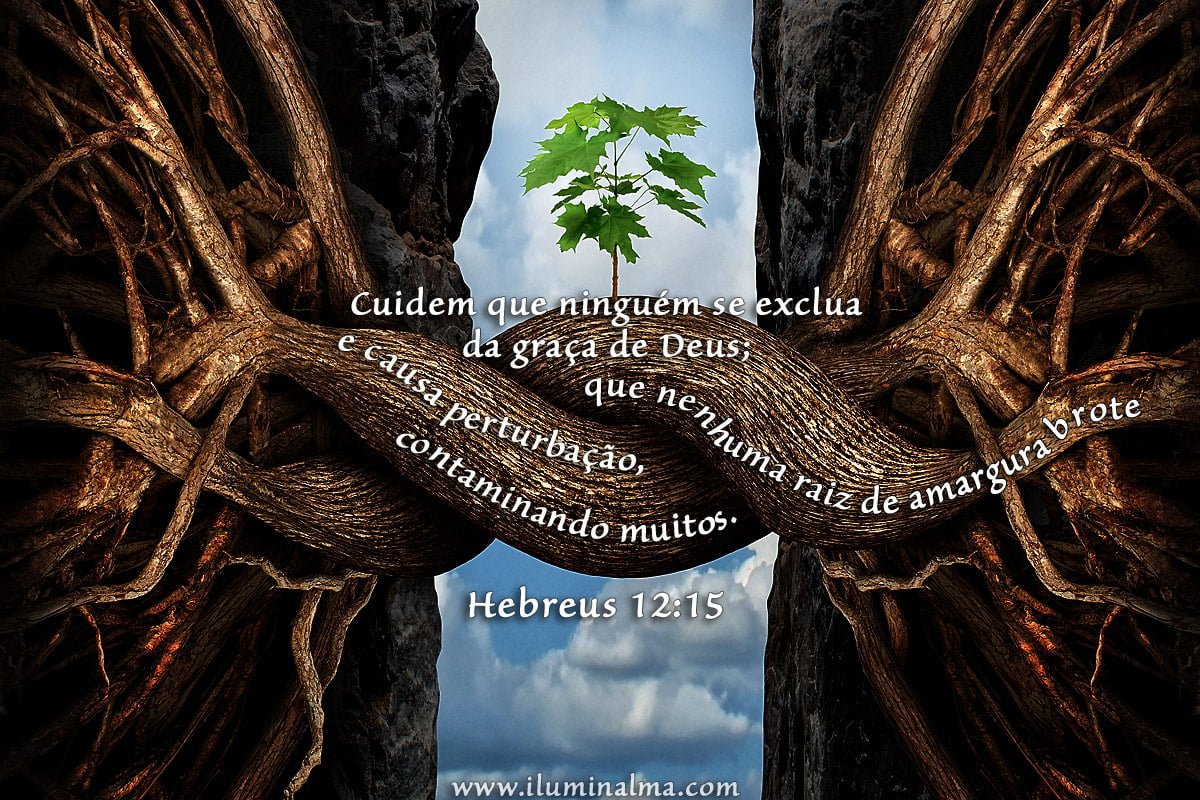 Hebreus 12:15