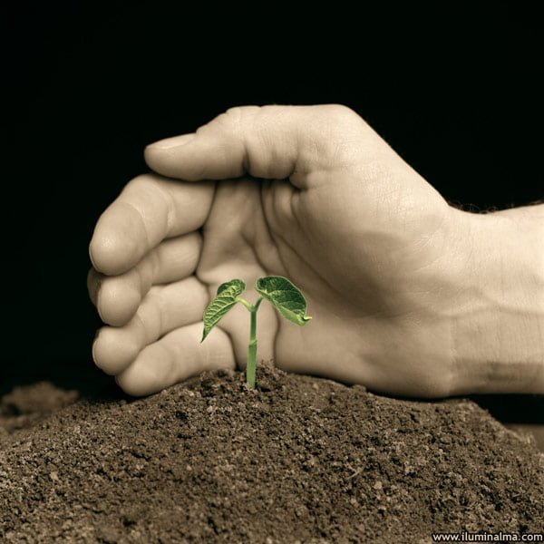 Lucas 13:18-19 Imagem de Fundo