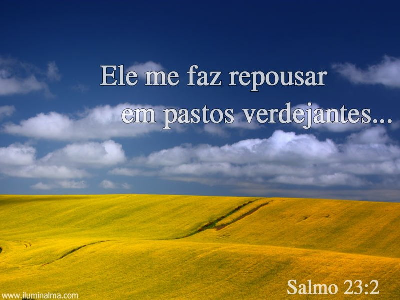 Salmo 23:2