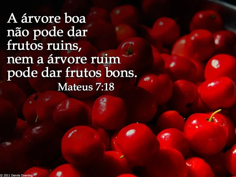 Mateus 7:18