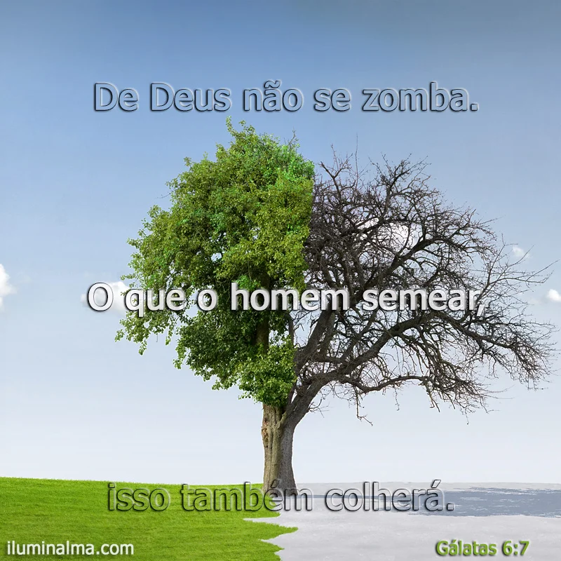 Gálatas 6:7