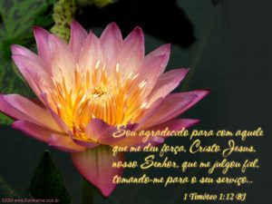 1 Timóteo 1:12