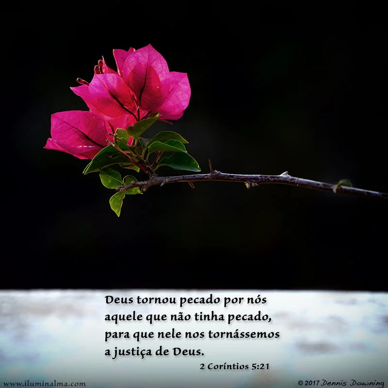 2 Coríntios 5:21