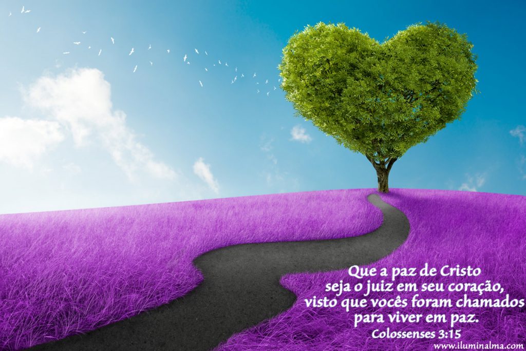 Colossenses 3:15