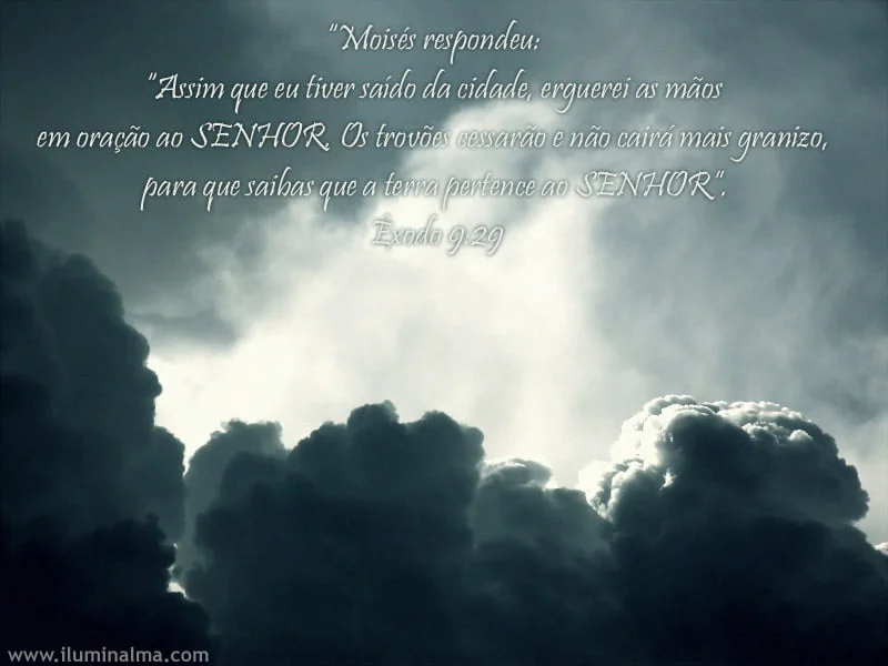 Êxodo 9:29