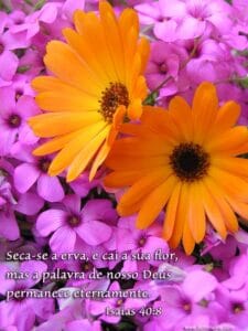 Isaías 40:8
