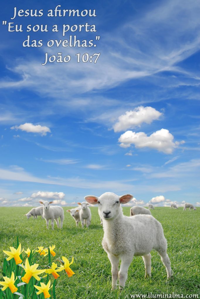 João 10:7