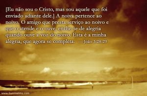 João 3:28-29