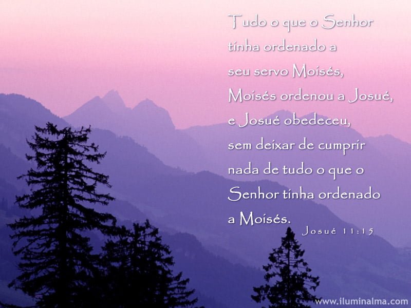 Josué 11:15