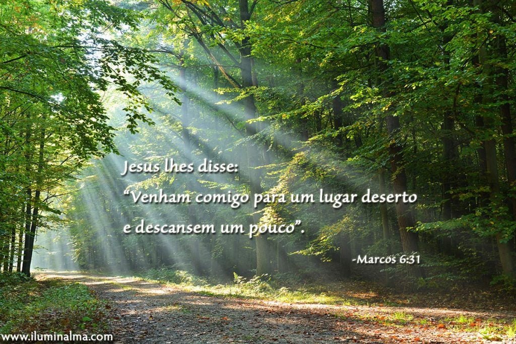 Marcos 6:31