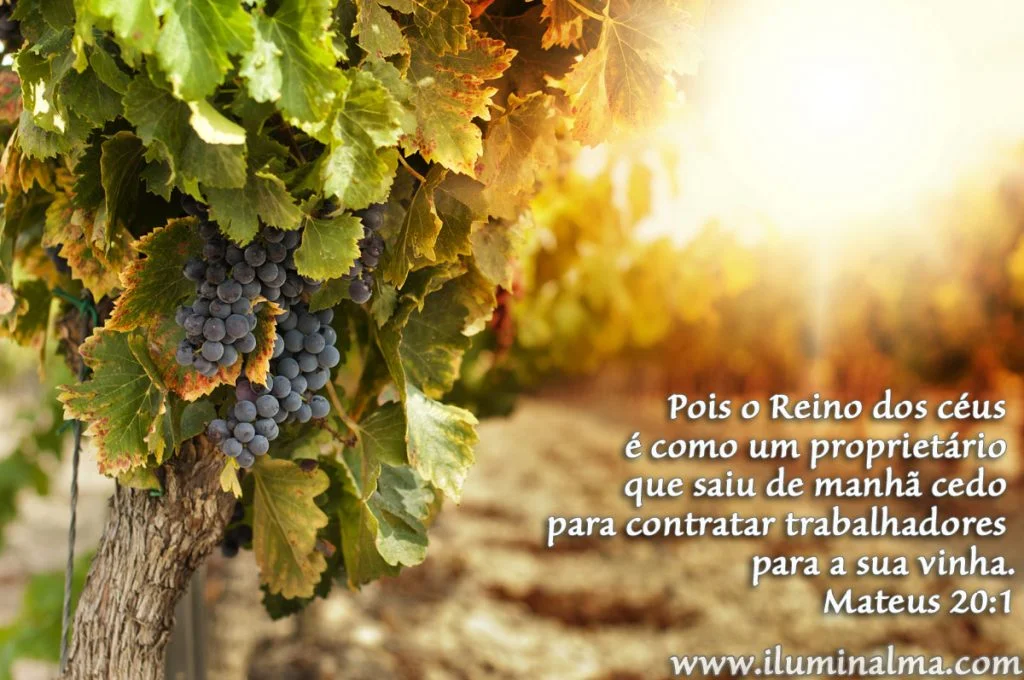Mateus 20:1