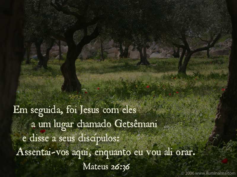 Mateus 6:11