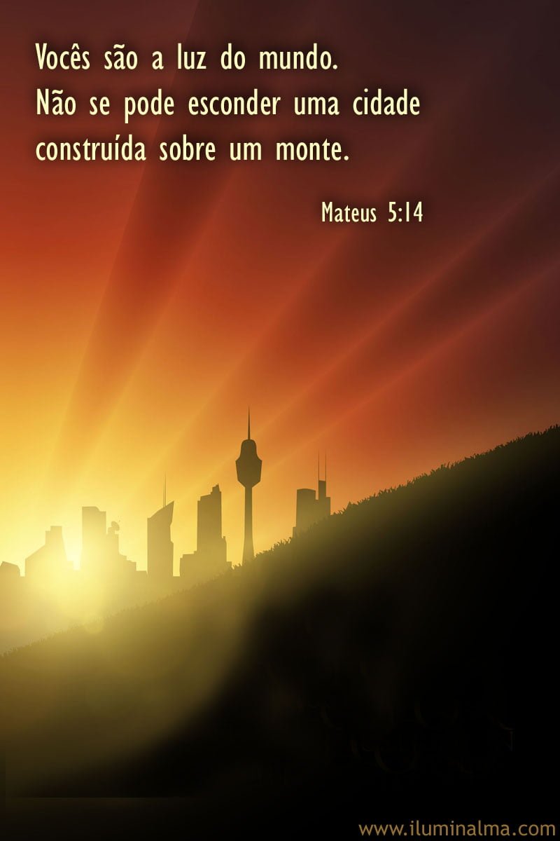 Mateus 13:23