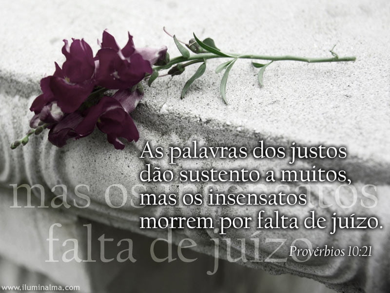 Provérbios 10:21