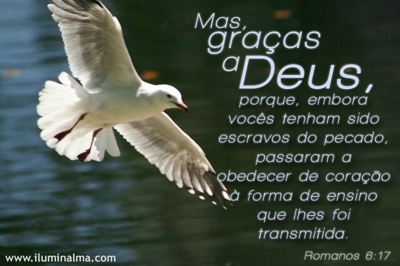 Mateus 6:17