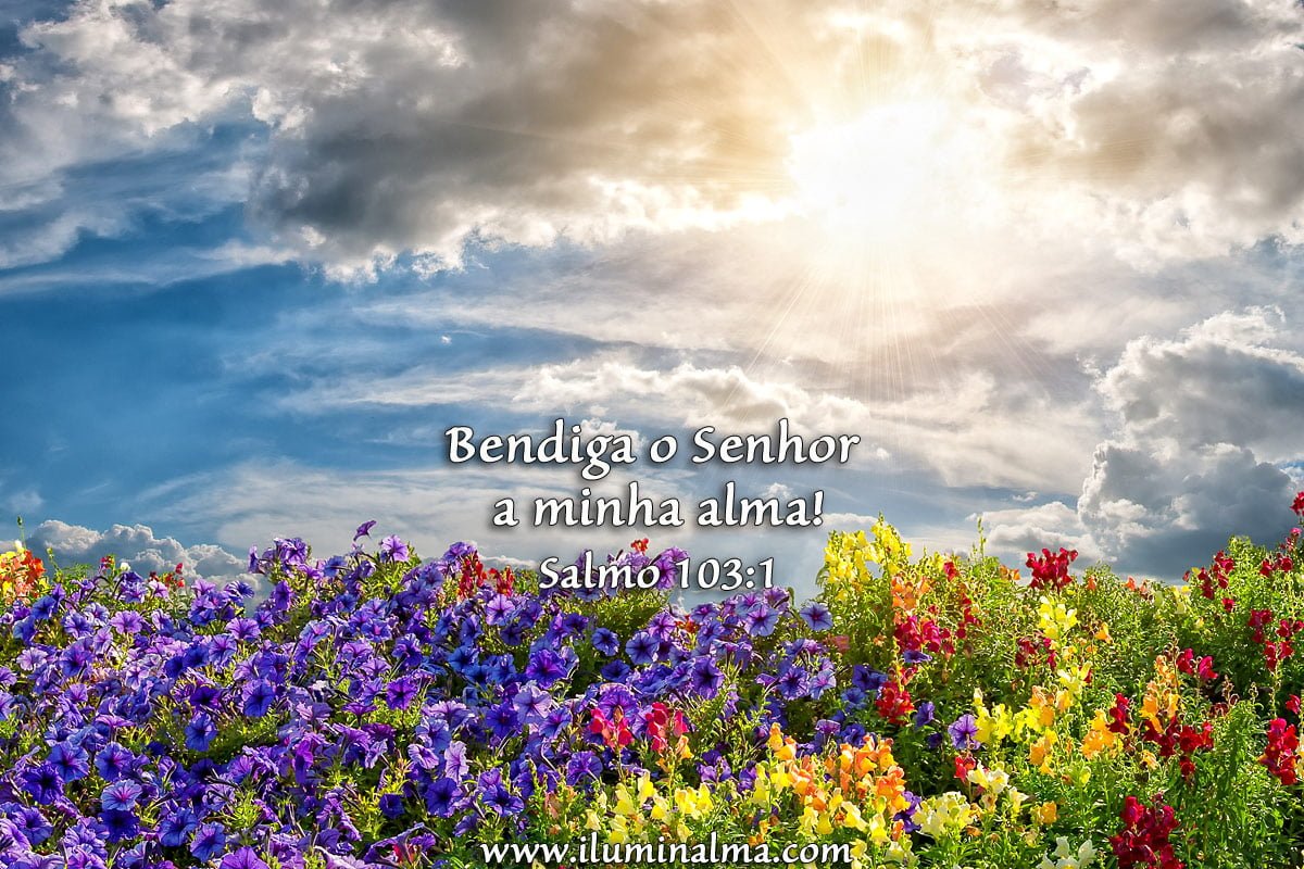 Salmos 103:2-3 » Iluminalma