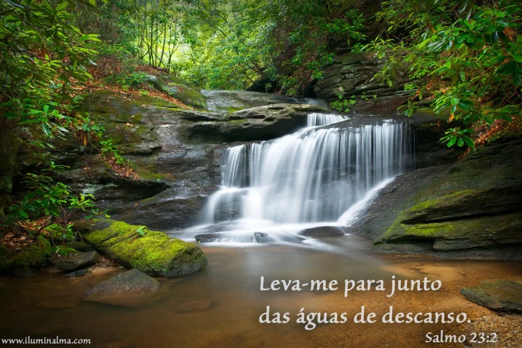 Salmo 23:2