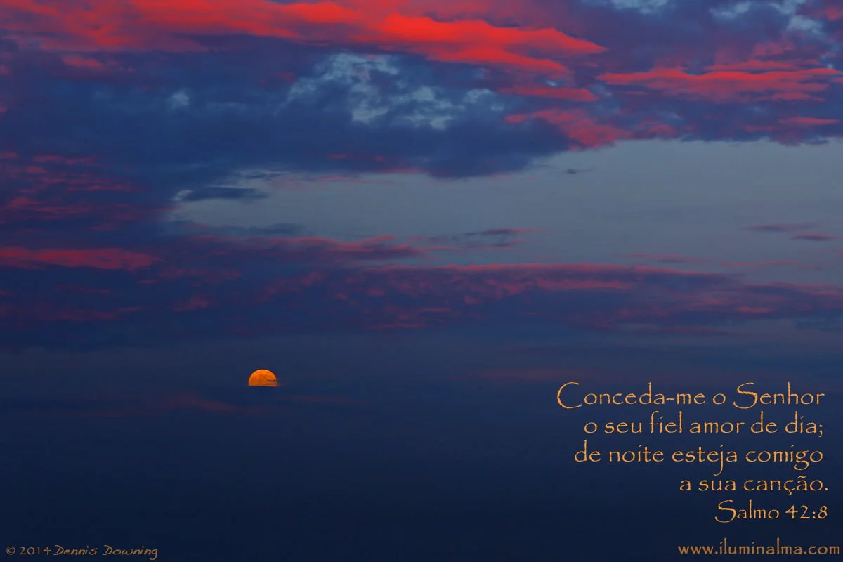 Salmo 42:8