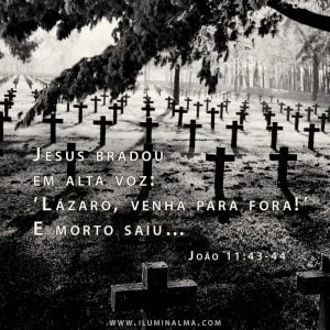 João 11:43-44