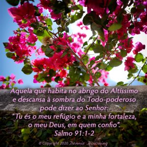 Salmo 91:1-2